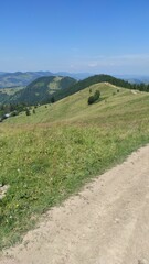 mountains in summer, carpathians, beautiful view of mountains and houses in mountains, countryside