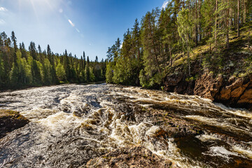 mountain river in the forest