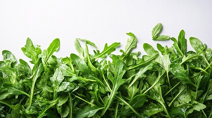 Wall Mural - Close-up of a salad with arugula leaves on a white backdrop, offering a clear area for text and emphasizing the freshness of the greens.