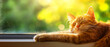 © Anatthaphon - Cat relaxing in the warm sunlight by the window, embodying tranquility and comfort in a cozy home setting.