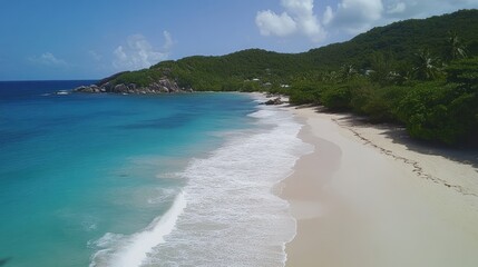 Aerial View of a Tropical Beach