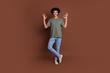 Poster - Full body length photo of youth guy with wavy hair in casual gray t shirt and jeans make okey sign isolated on brown color background