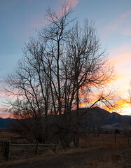 long exposure sunset silhouetting the trees