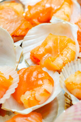 Wall Mural - A tray of shrimp is covered in shell cups