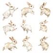 © AURA COLLECTIONS - A collection of watercolor illustrations of playful rabbits in various poses.