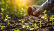 © Stock - Hand pouring soil checking quality prepare growing seedling at home garden isolated with white highlights, png