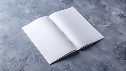 Vector mockup for the presentation of the brochure, blank white book , isolated background