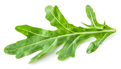 Wall Mural - Ruccola leaf isolated on white background, single green arugula leaves collection