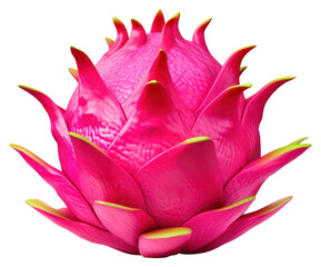 Wall Mural - PNG Dragon fruit flower petal plant.