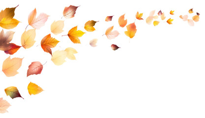 Canvas Print - PNG Autumn leaves backgrounds plant petal.