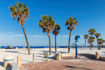 Wall Mural - Beautiful Clearwater beach in sunny day with palm trees on white sand in Clearwater, Florida, USA