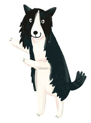 Wall Mural - Border collie dog png pet digital art, transparent background