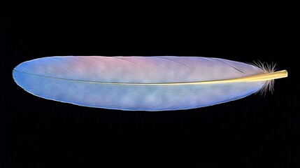 Poster -   A clear photo of a blue feather against a dark background, with the tip of the feather highlighted in a soft yellow color