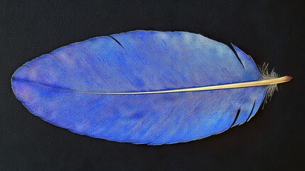 Sticker -   A detailed image of a blue feather with a golden tip against a dark background, highlighting the feather's tip