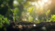 © Erd.Concept - New Life Growing in the Sun