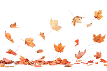Wall Mural - png autumn leaves falling gracefully