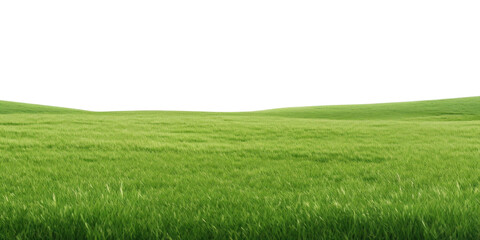 PNG  Vast green field under sky