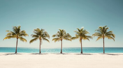 Wall Mural - Palm trees stand on a white beach. This image can be used to promote travel, leisure, and relaxation.