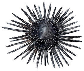 Sticker - PNG Abstract spiky black sea urchin