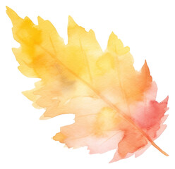 Canvas Print - PNG Autumn plant leaf tree.