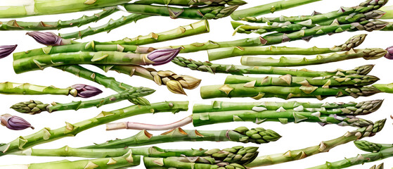 Poster - Asparagus pattern background isolated on white1