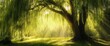 © Helois - Majestic weeping willow tree bathed in golden sunlight, with long branches and lush green foliage, creating a serene and magical forest atmosphere.