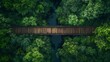 © The Little Hut - Forest aerial wildlife crossing forming a safe natural corridor bridge for animals to migrate between conservancy areas Environment nature reserve infrastructure engineering eco passag : Generative AI