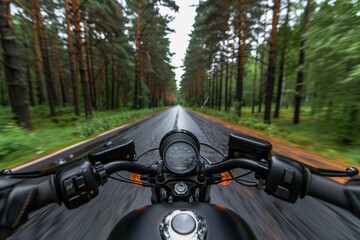 Wall Mural - Motorcycle touring in the forest enjoying an empty road Text space available