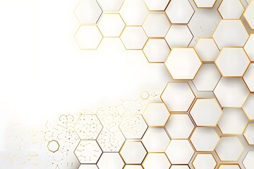 Wall Mural - abstract white background with golden hexagon frame vector presentation design template for business