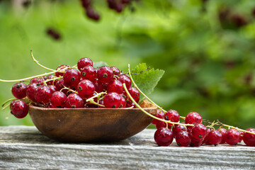 Wall Mural - Fresh red currants in a wooden bowl on rustic wooden surface outdoors