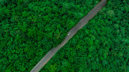 Canvas Print - Aerial view of dark green forest road and white electric car Natural landscape and elevated roads Adventure travel and transportation and environmental protection concept