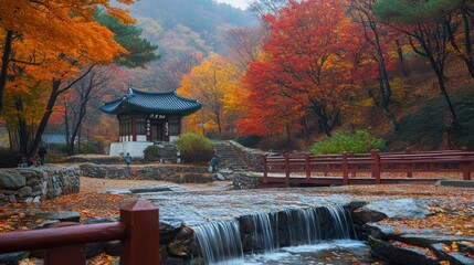 natural view of maple tree orange leaves in autumn with river and lake tourist attraction background