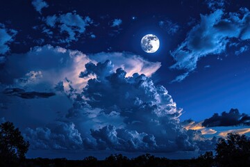 Canvas Print - Full Moon Night Sky