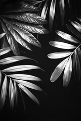 Poster - Black and White Leaves