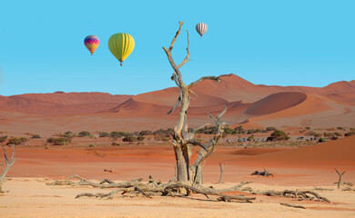 Wall Mural - Hot air balloon flying over Dead trees in Dead Vlei, tourist cars arriving at a Dead Vlei  in the background - Sossusvlei, Namib desert, Namibia