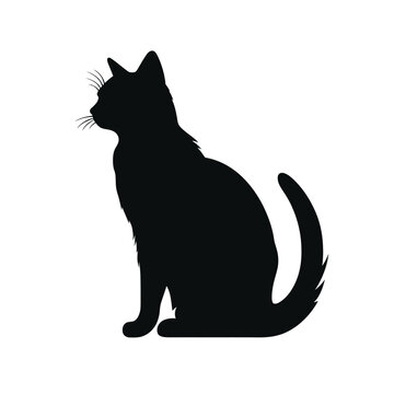 black silhouette of a cat isolated on white background