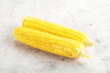 Sweet yellow raw corn cob