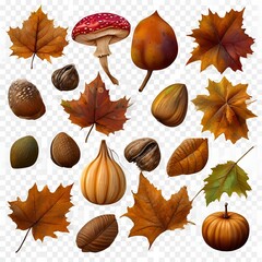 Sticker - collection-of-various-autumn-objects---leaves-mushrooms-nuts-fruits-etc-isolated-on-transparent