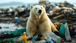 © Siasart Stock - Polar bear surrounded by plastic bottles on a beach.