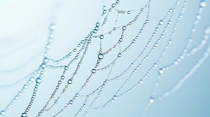 spiders web with dew drops on it on a pale blue background