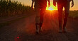 © StockMediaSeller - Legs of two farmers in boots walking on a dusty road through fields at sunset.