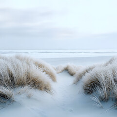 Sticker - copy space image of a wintry scene on the baltic sea coast featuring sand dunes marram grass and a stormy sea isolated on white background, minimalism, 