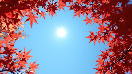 Canvas Print - red maple leaves frame a bright sun. perfect for autumnal, nature, and seasonal themes.