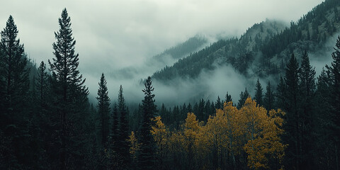 Wall Mural - Haunting Montana Mountains in Late Fall
Foggy, eerie wilderness scene with bare trees and mist-shrouded peaks. Dreary, unsettling atmosphere in a cold, isolated landscape