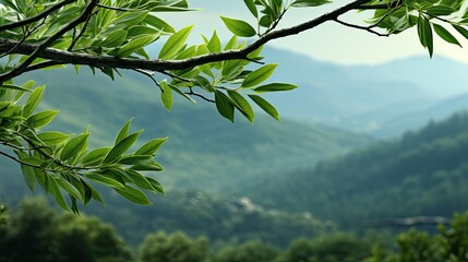 Sticker - Blurred natural beauty with green foliage bokeh backdrop during summer Evergreen scenery with a hazy background 