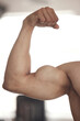 © peopleimages.com - Bicep, fitness and flexing with person in boxing gym for physical power or strength closeup. Arm, exercise and muscle with strong athlete man in health club for challenge, improvement or training