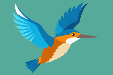 kingfisher  vector art and illustration