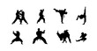 © mdpz art - vector illustration of karate martial arts silhouette