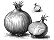 © toricheks - Illustration detailed onions in black and white. Vector, generative ai.