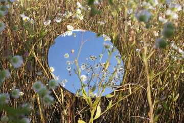 earth in grass